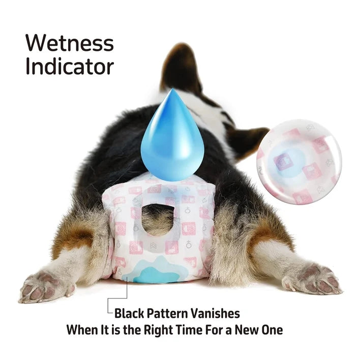 Fofos Barkbutler Disposable Diaper for Male Dogs