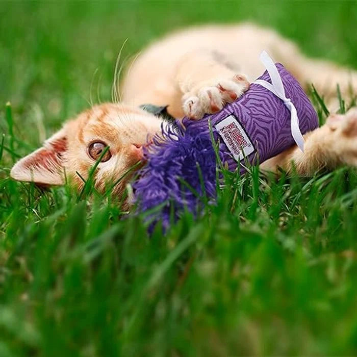 Kong Kitten Kickeroo Assorted Cat Toy