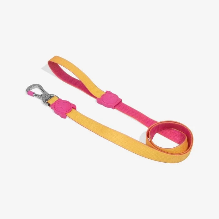 Zee Dog Neo pro Lyra Leash for Dogs