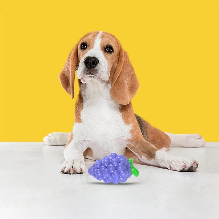 Fofos Tough Fruit Squeaky Grape Dog Toy