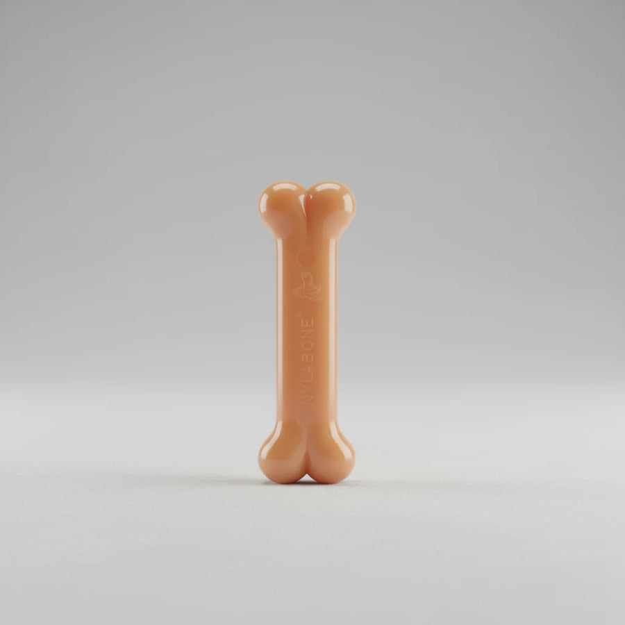 Nylabone Power Chew Bone Xs