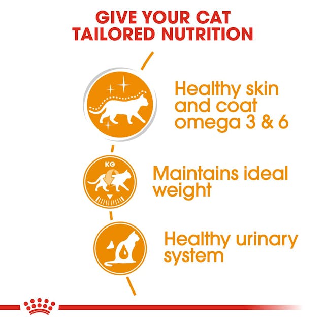 Royal Canin Intense Beauty Cat Wet Food