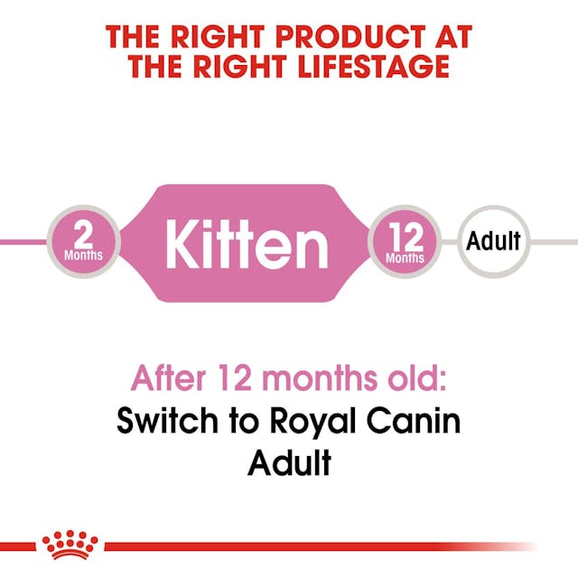 Royal Canin Kitten Cat Dry Food