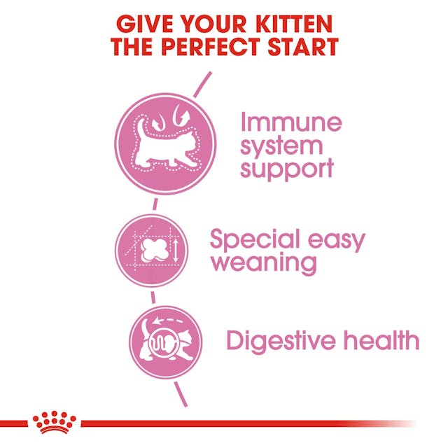 Royal Canin Mother and Baby Cat Dry Food
