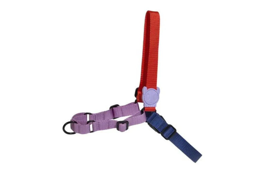 Zee Dog Softwalk Harness for Dogs