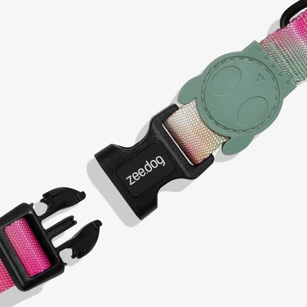 Zee Dog Collar for Dogs - Blast