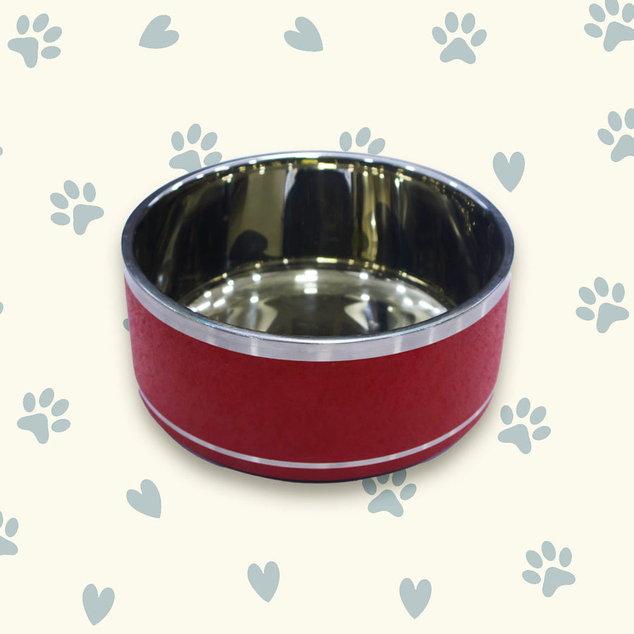 Story Tails Double Wall Dog Bowl Color & Anti Skid Base