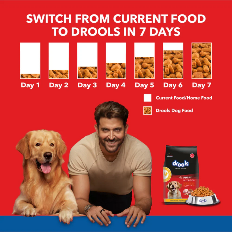 Drools Chicken and Egg Flavour Puppy Dry Food