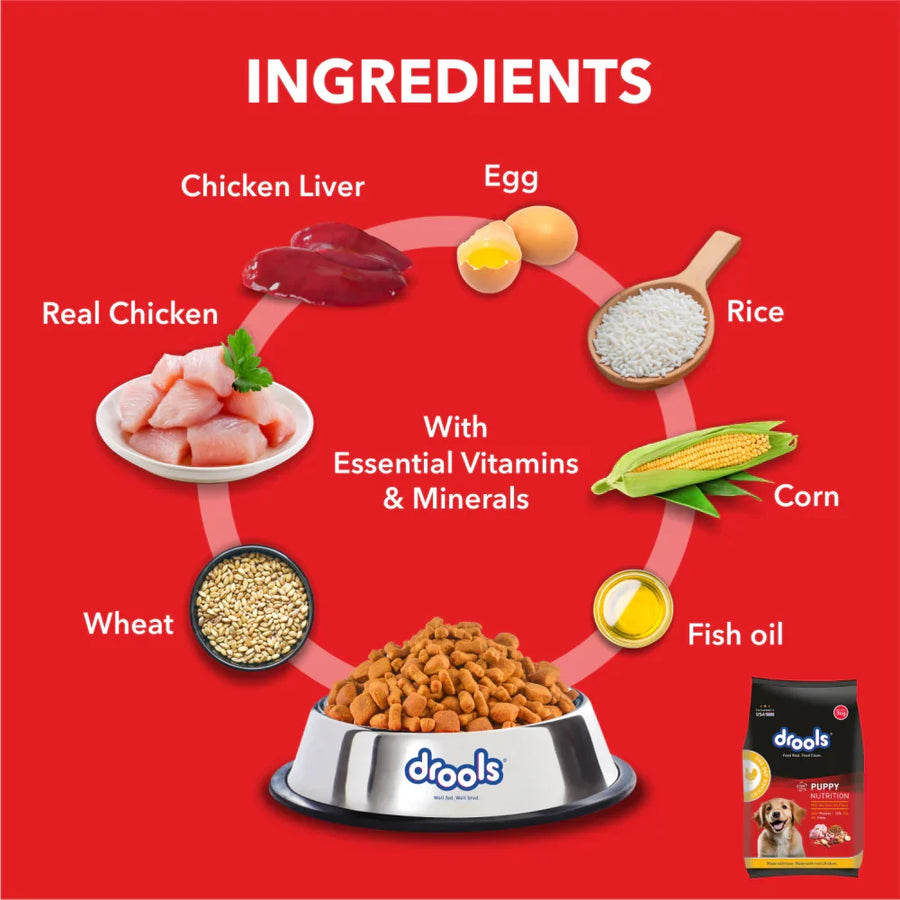 Drools Chicken and Egg Flavour Puppy Dry Food