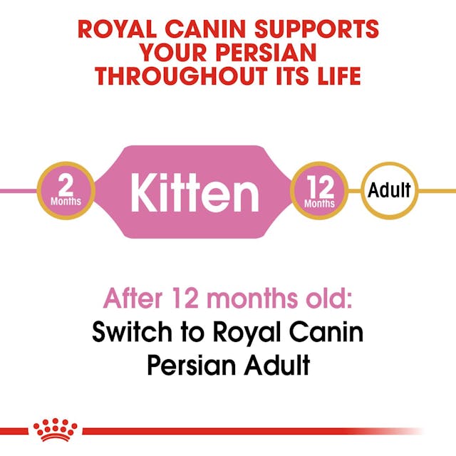 Royal Canin Persian Kitten Cat Dry Food
