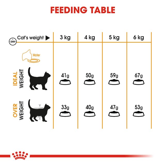 Royal Canin Hair and Skin Care Cat Dry Food