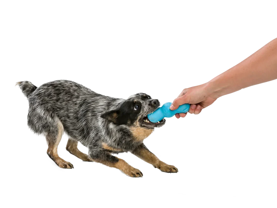 West Paw Zogoflex Rumpus Dog Chew Toy