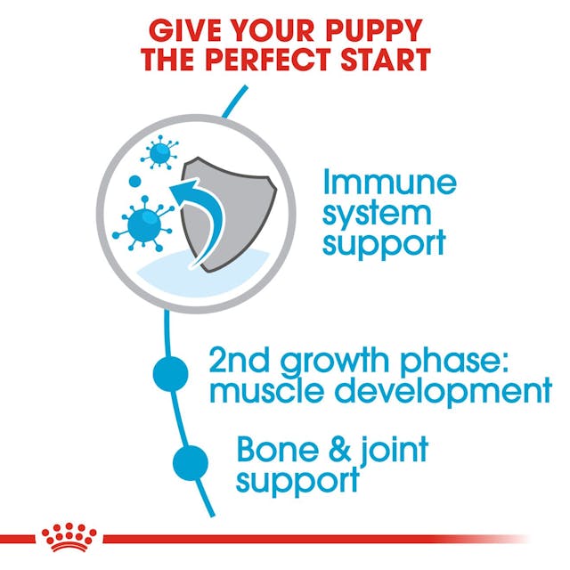 Royal Canin Giant junior Dog Dry Food