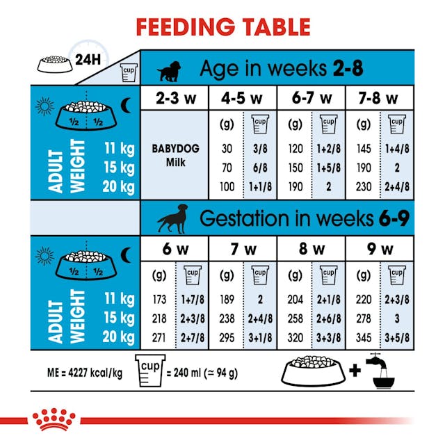Royal Canin Medium Starter Dog Dry Food