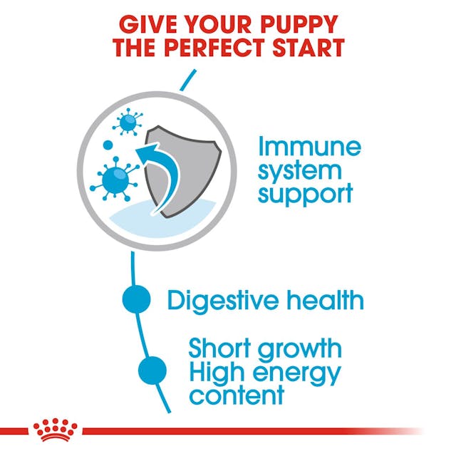 Royal Canin Medium Puppy Dog Wet Food