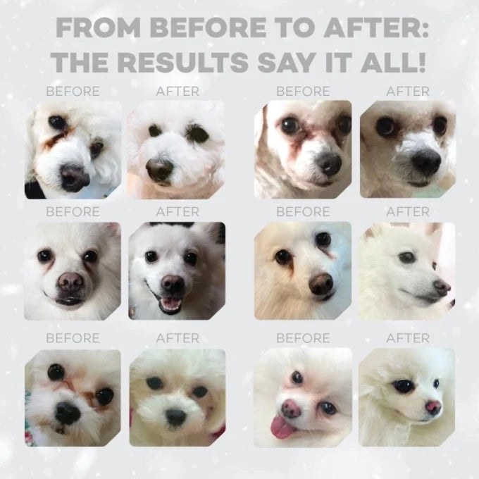 Nature's Protection Superior Care White Dogs Grain Free White Fish Junior Small and Mini Breeds Dog Dry Food