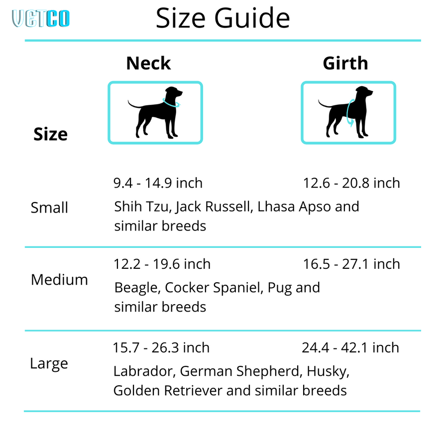 Zee Dog Bit Softwalk Harness for Dogs