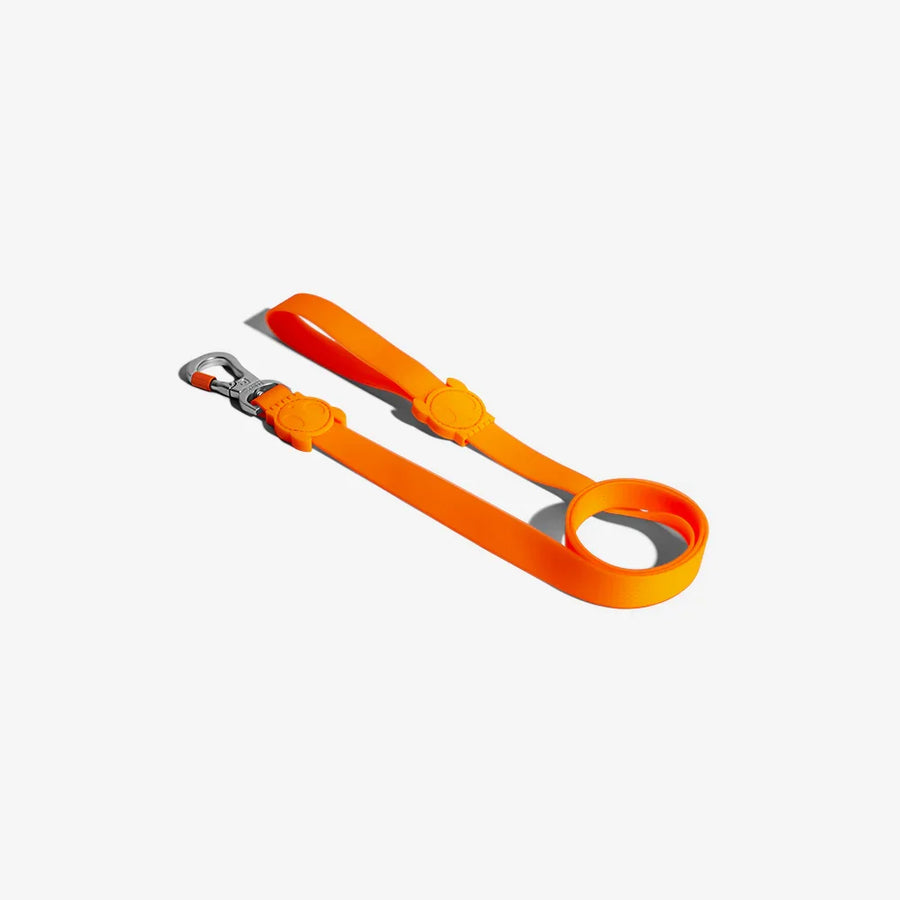 Zee Dog Leash for Dogs - Blast