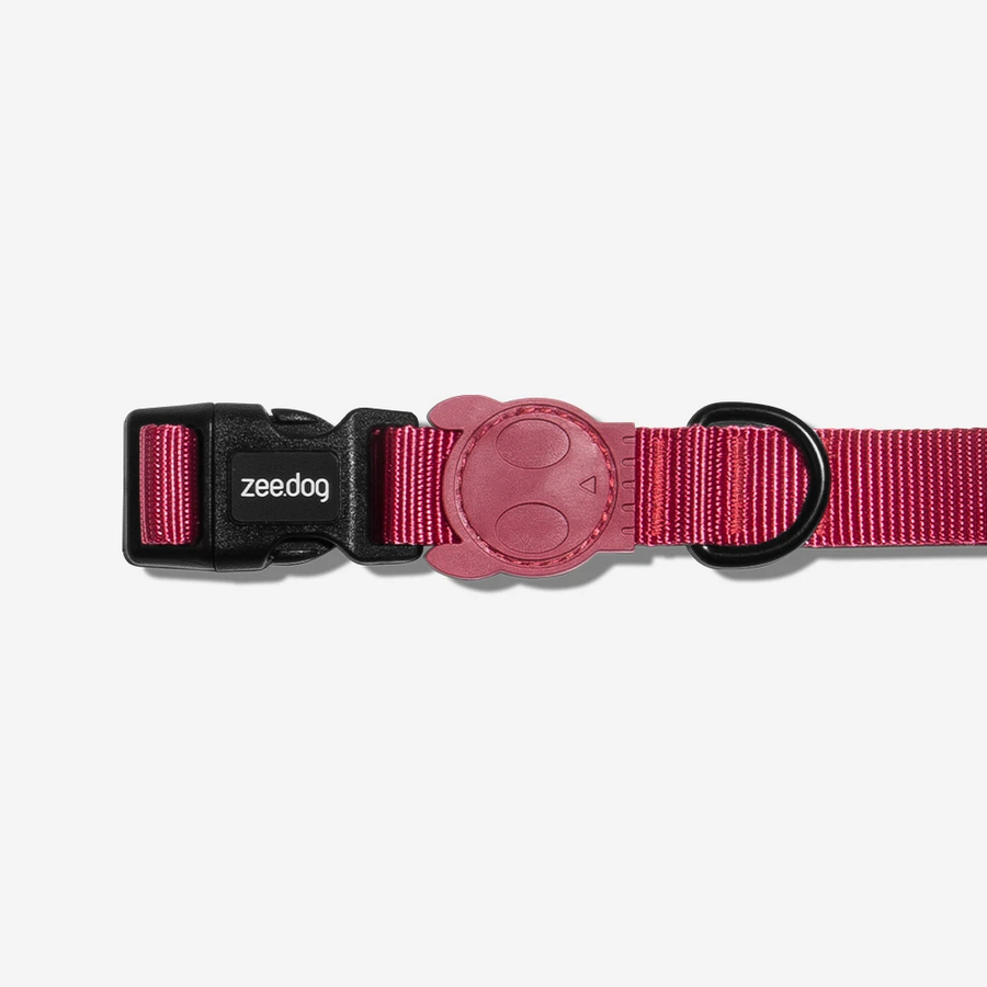 Zee Dog Collar for Dogs - Artsy
