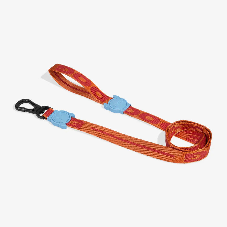 Zee Dog Leash for Dogs - Artsy