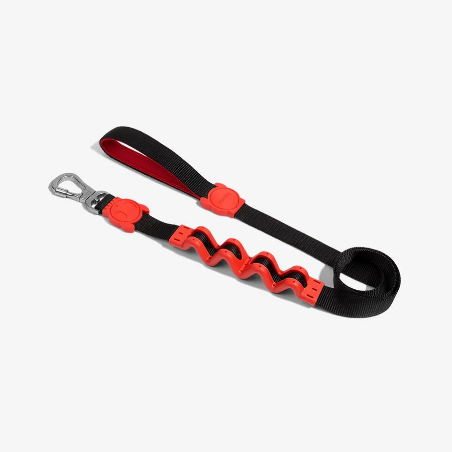 Zee Dog Leash for Dogs - Artsy