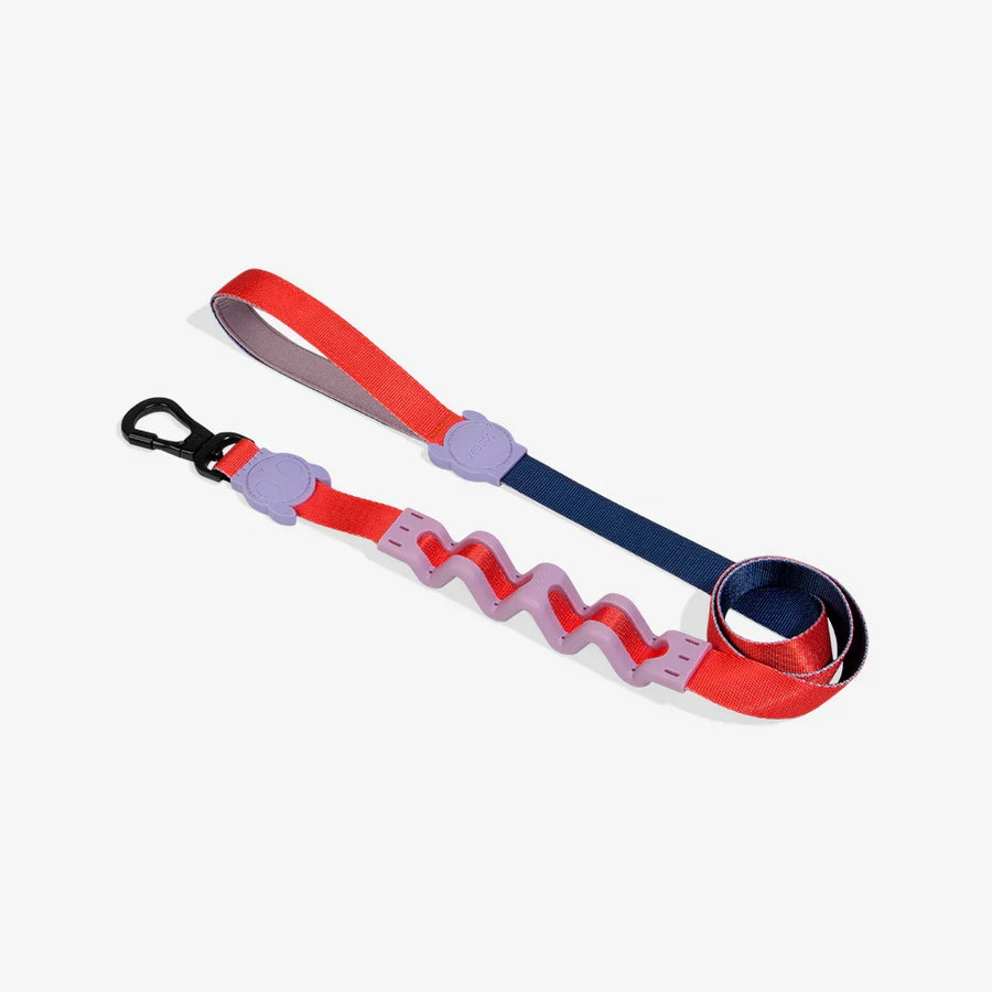 Zee Dog Leash for Dogs - Artsy