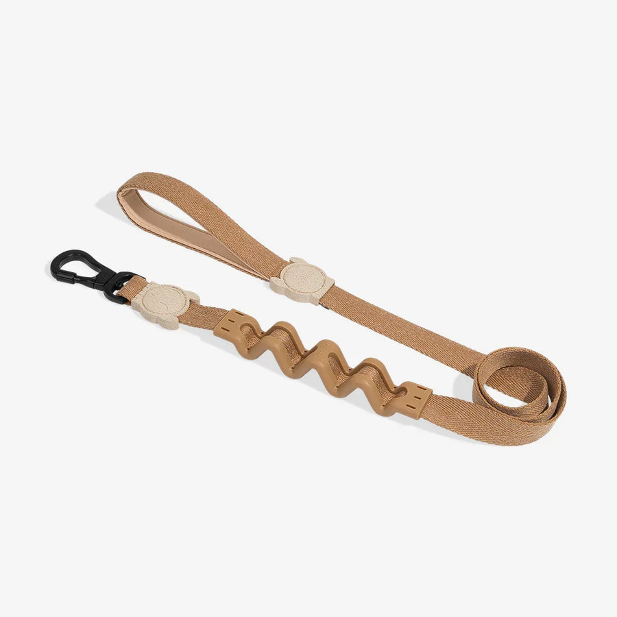 Zee Dog Leash for Dogs - Artsy