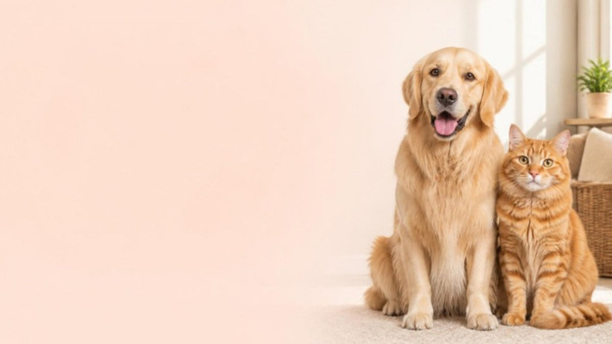 Everything your pet needs, delivered to your door