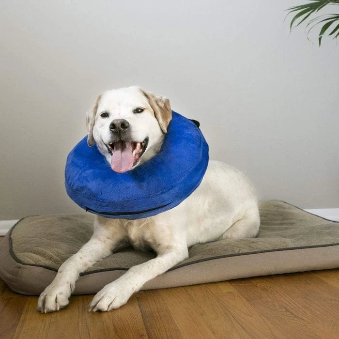 Kong Cloud Collar for Dogs