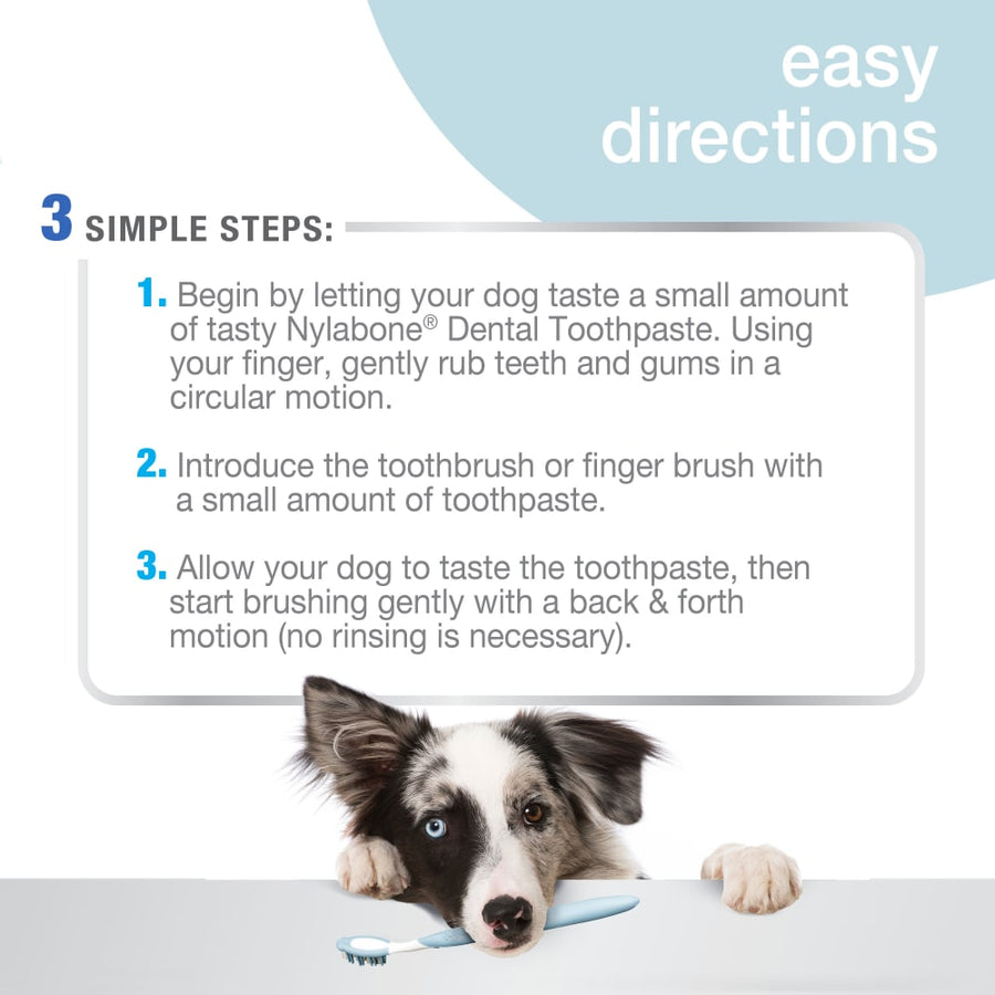 Nylabone  Advanced Oral Care Tartar Control Toothpaste