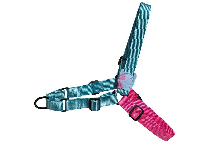 Zee Dog Softwalk Harness for Dogs