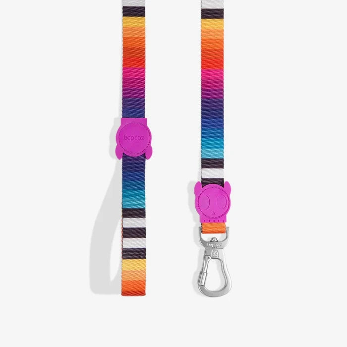 Zee Dog Regular Leash for Dogs
