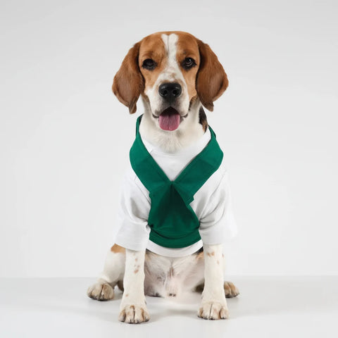 Lemon Tails Back 2 School Dog Dungaree for Dogs