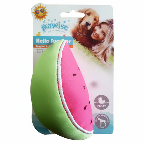 Pawise Floating Summer Toy