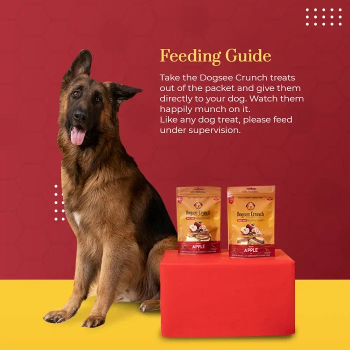 Dogsee Crunch Dried Dog Treats