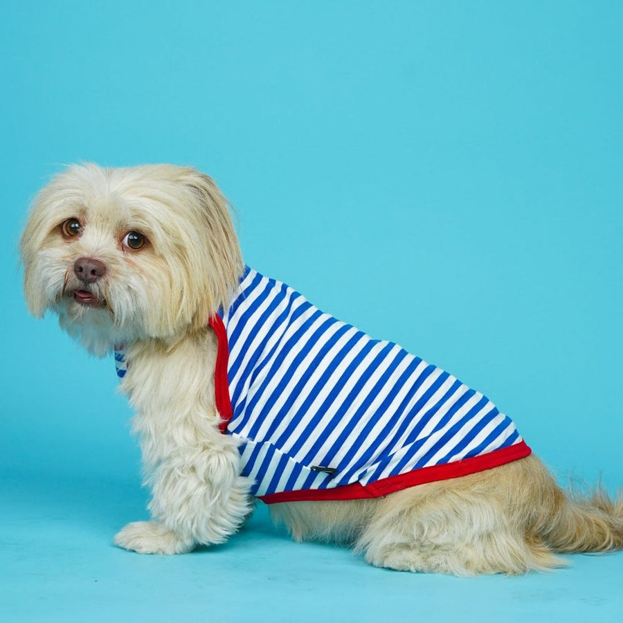 Pets Way Anchor Fetch Vest for Dogs