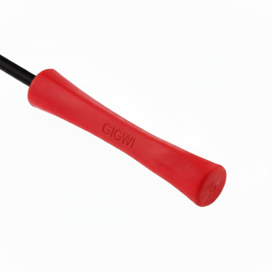 Gigwi Catch and Scratch Feather Teaser Wand