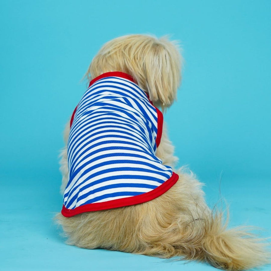 Pets Way Anchor Fetch Vest for Dogs