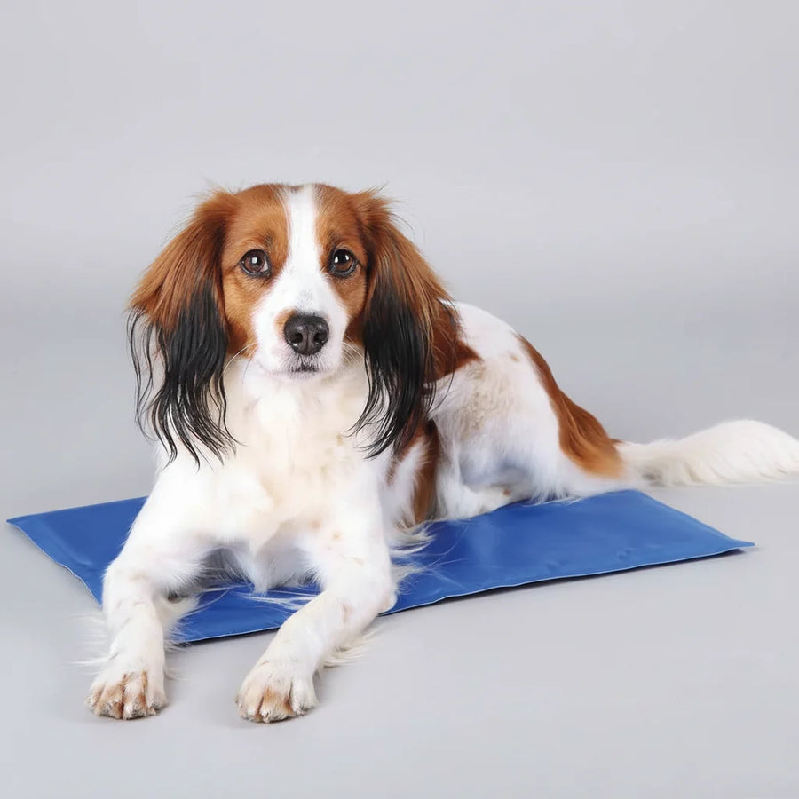Trixie Cooling Mat For Dogs