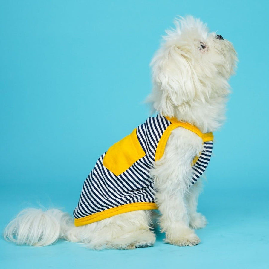 Pets Way Zebra Fetch Vest for Dogs