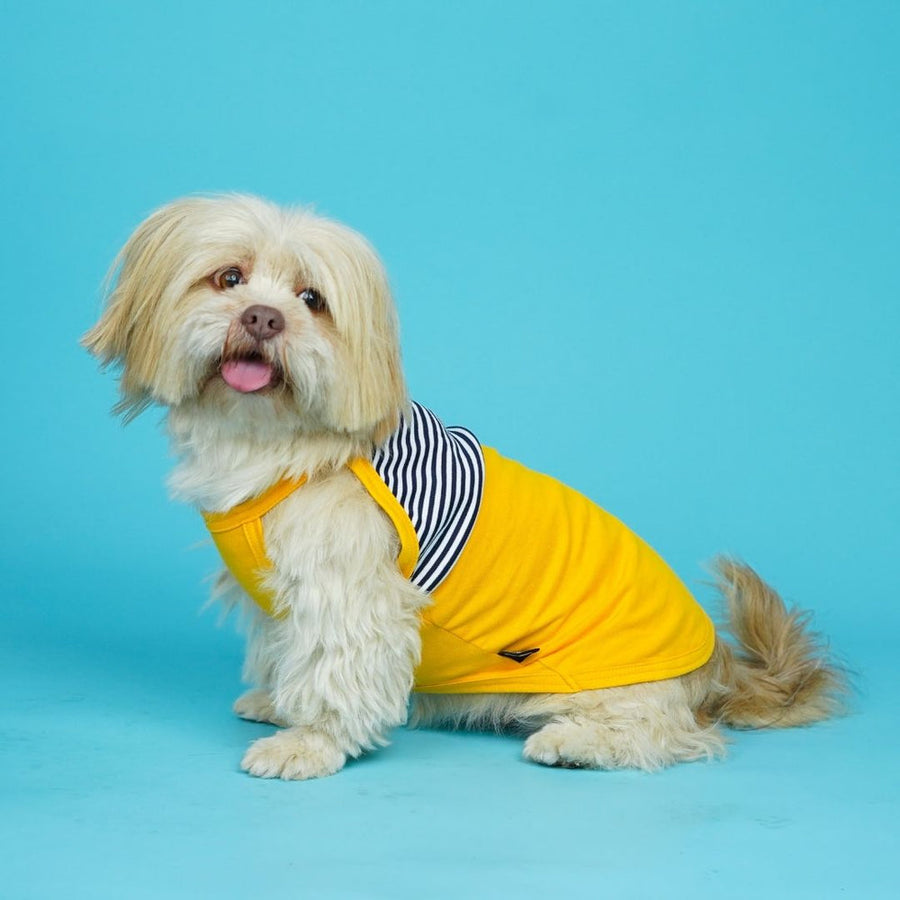 Pets Way Taxi Fetch Vest for Dogs