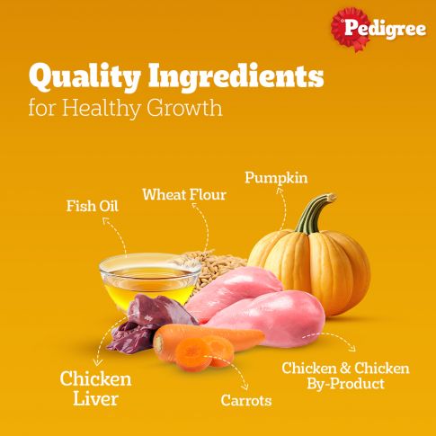 Pedigree Puppy Dog Wet Food
