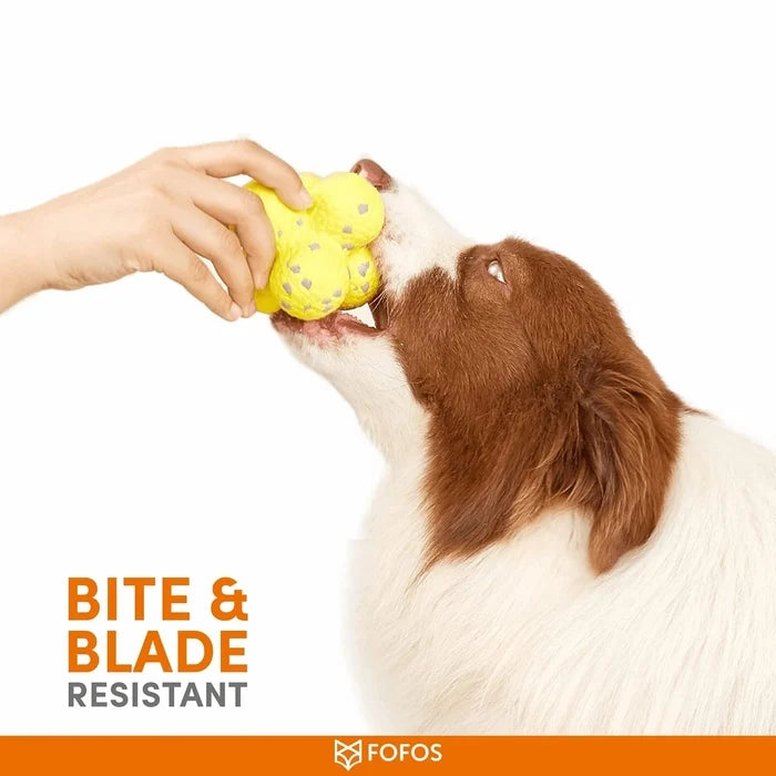 Fofos Super Durable Bumpy Bounce Ball Dog Toy