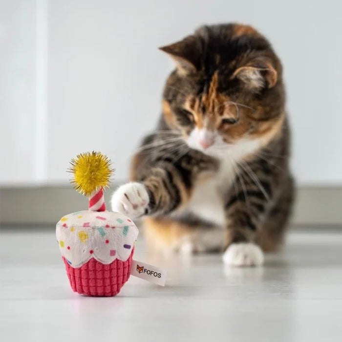 Fofos Birthday US Grade Organic Catnip Cat Toys