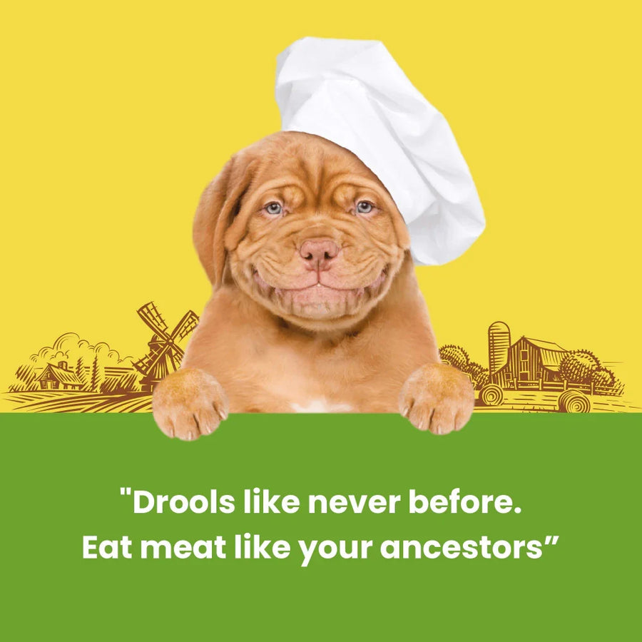 Dog Fest Rabbit Meat Sticks Dog Treats