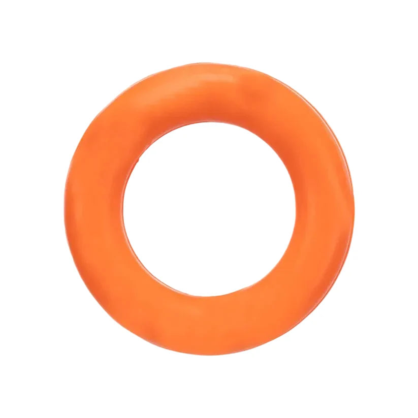 Trixie Ring Natural Rubber Fetch Dog Toy
