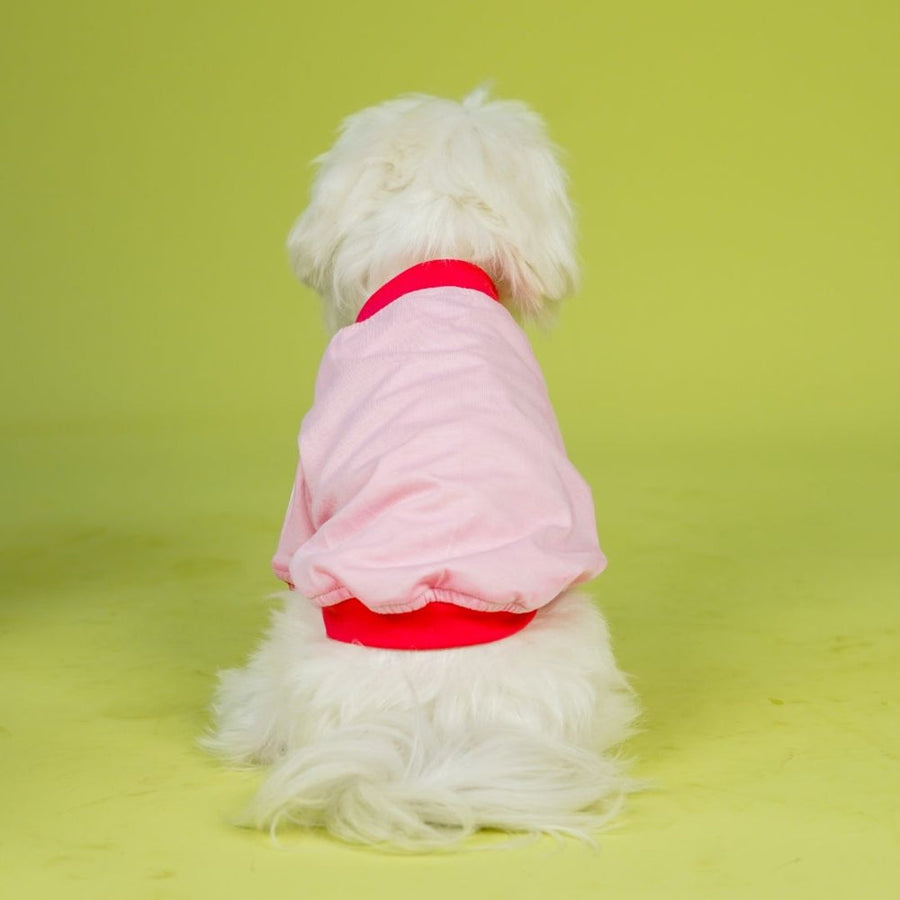 Pets Way Dive In Stripes Blush T-Shirt for Dogs