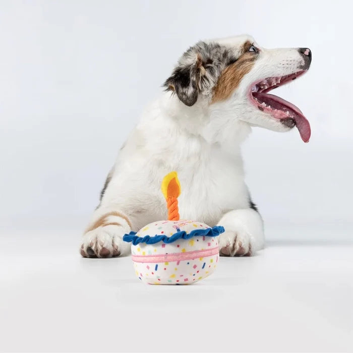 Fofos Birthday Plush Dog Toys