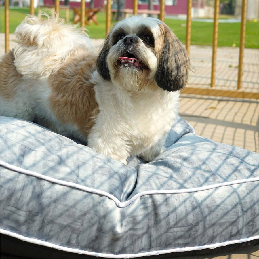 Pets Way Ash Velvet Mattress for Dogs