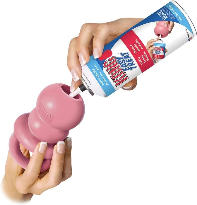 Kong Puppy Binkie